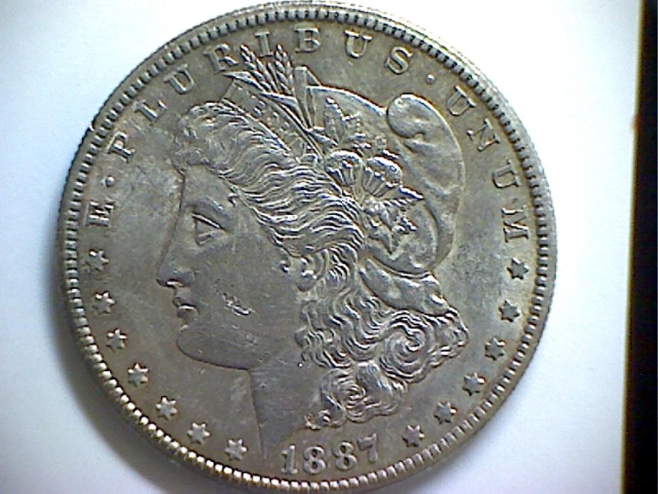 Grade-My-Morgans